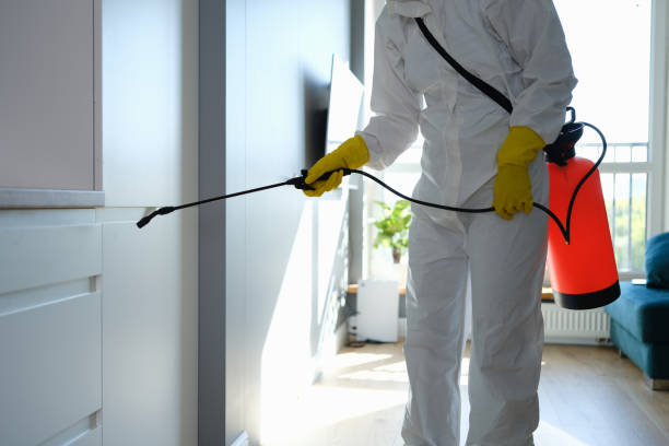 Best Residential Mold Removal  in Lemmon, SD