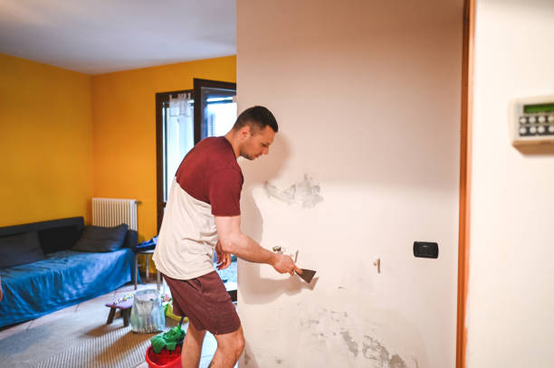 Crawl Space Mold Removal in Lemmon, SD